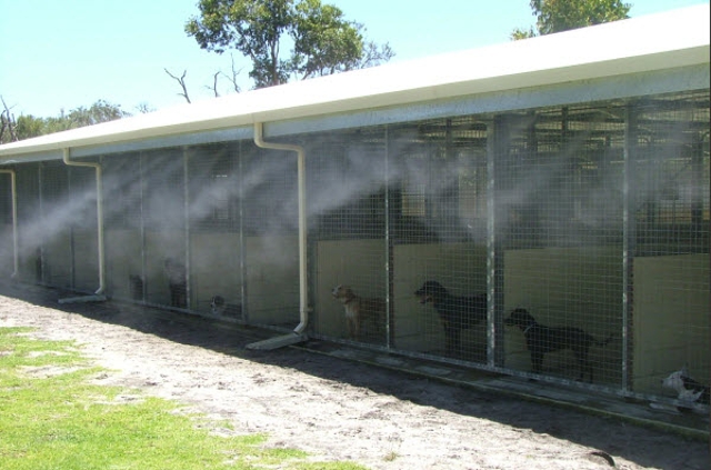 high pressure misting system for pets